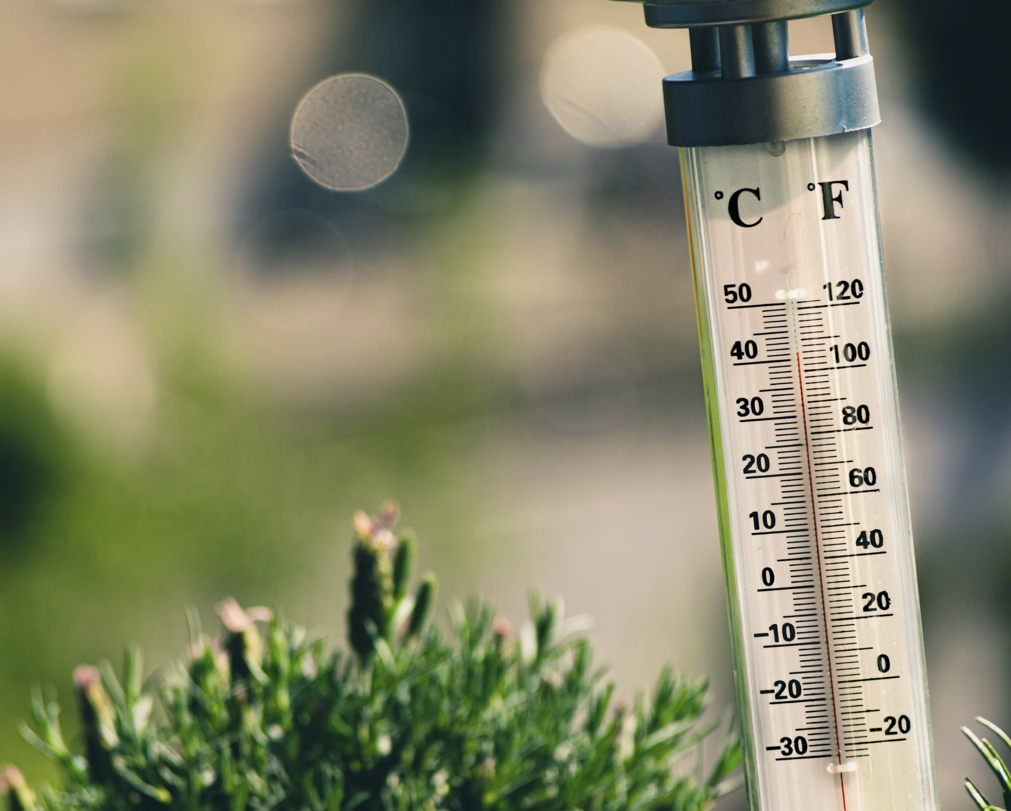 Don&rsquo;t buy cheap thermometers as the readings are useless and unreliable!